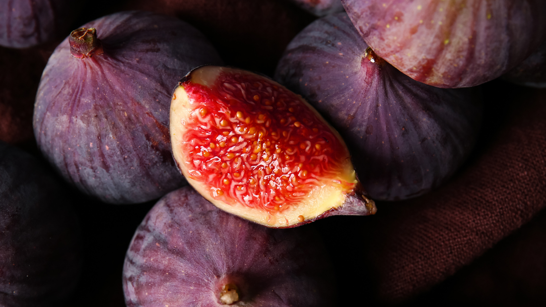 Obst, Gemüse und Darmgesundheit: Warum Vielfalt das Mikrobiom stärkt